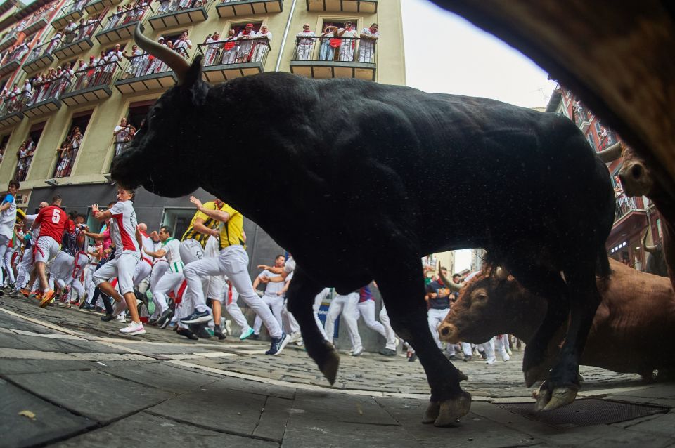 Spain Running of the Bulls