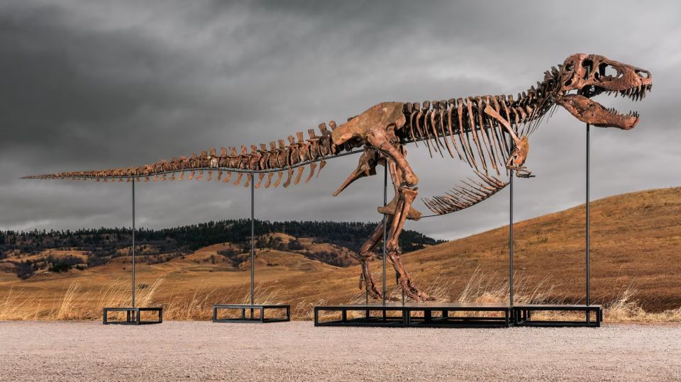 trex