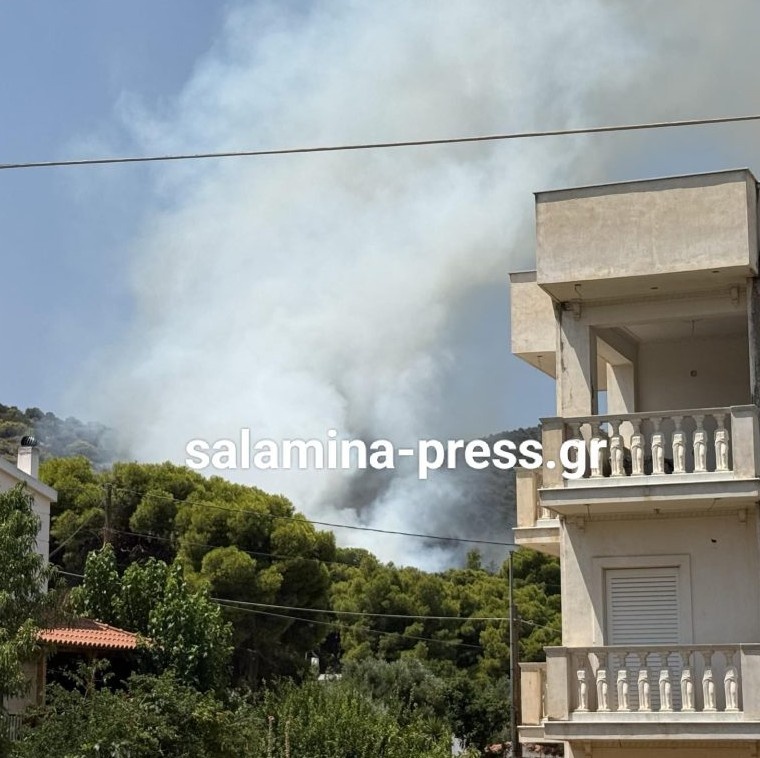 fwtia-salamina.jpg