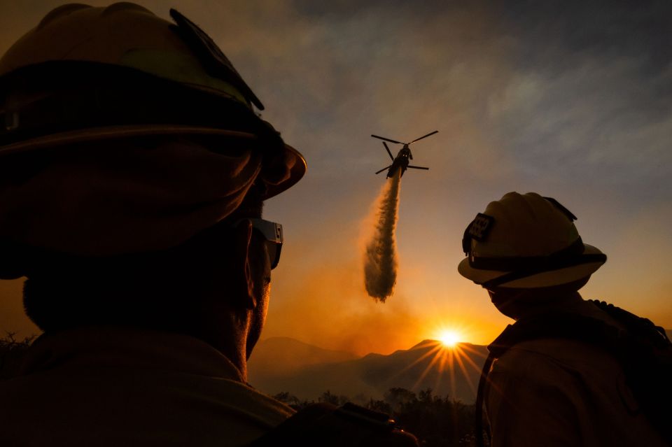 Wildfire