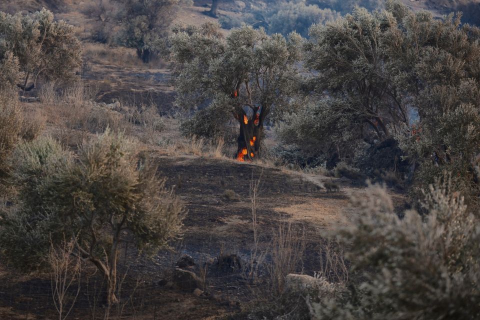 Wildfire, fotia, kriti