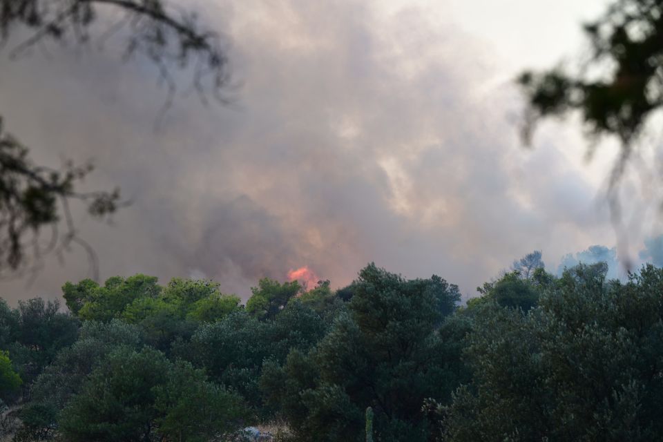 pyrkagia xaidari aigaleo poikilo oros