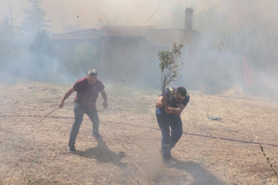 VOIOTIA ΒΟΙΩΤΙΑ ΦΩΤΙΑ ΦΩΤΙΕΣ ΠΥΡΟΣΒΕΣΤΙΚΗ ΤΡΑΚΤΕΡ VIOTIA ΠΥΡΚΑΓΙΑ PYRKAGIA