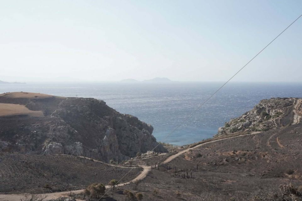 foinikodasos, rethymno, rethimno, kriti, fotia, pyrkagia, pirkagia