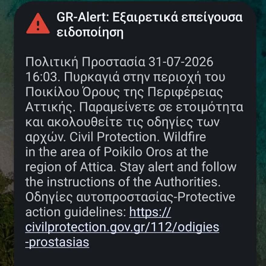 1785504171228-523006909-7595000319139488745075297274079260905889656n.jpg
