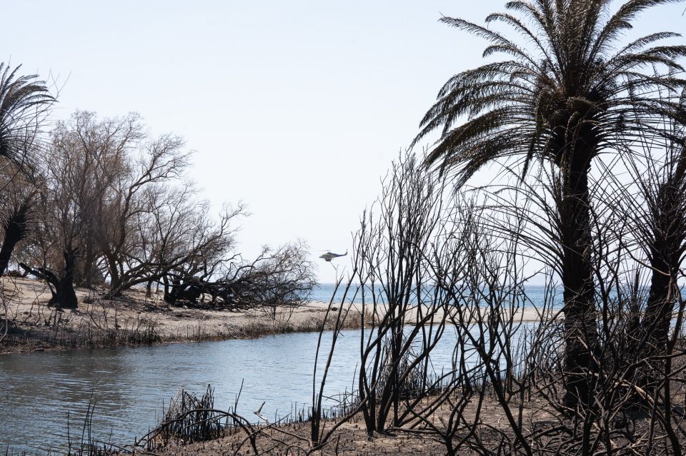 foinikodasos, rethimno, rethymno, kriti, fotia