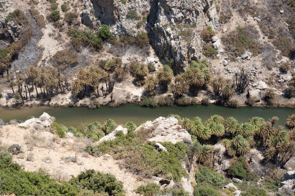 foinikodasos, rethymno, rethimno, fotia