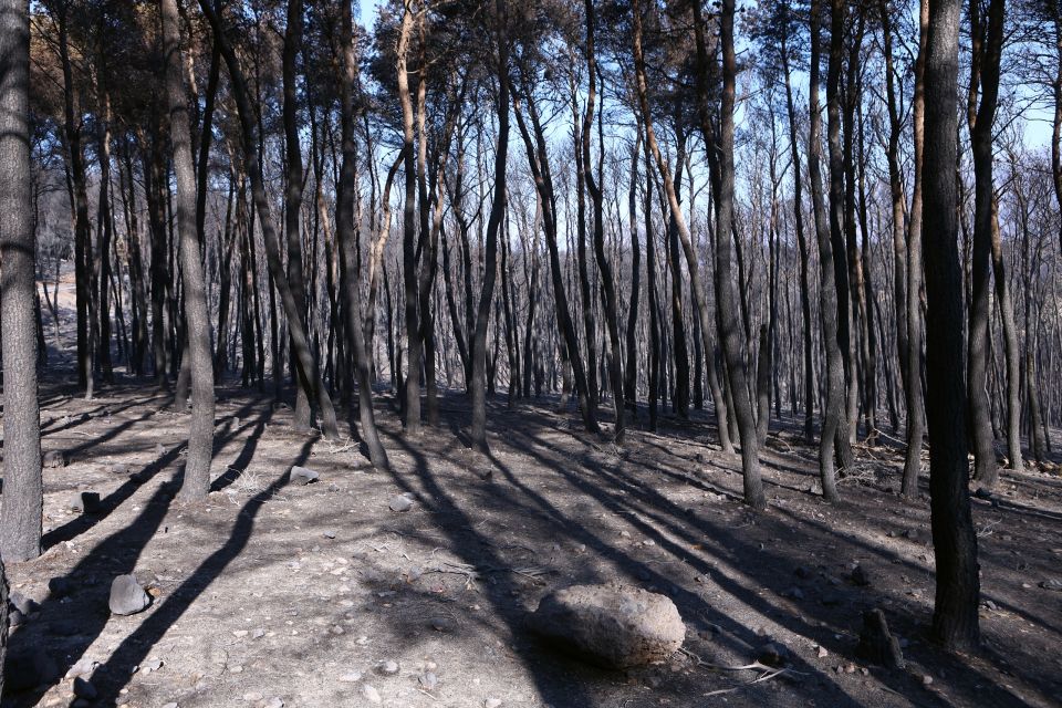 fotia porto germeno pyrkagia