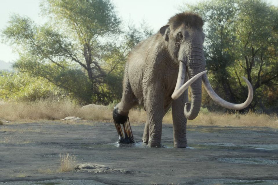 tv-prehistoricplanet03232.jpg