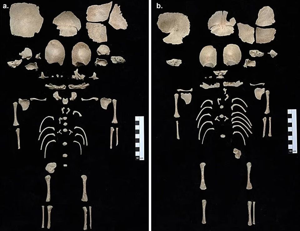 bones-from-the-two-infants-a-individual-1-and-b-individual-2.jpg