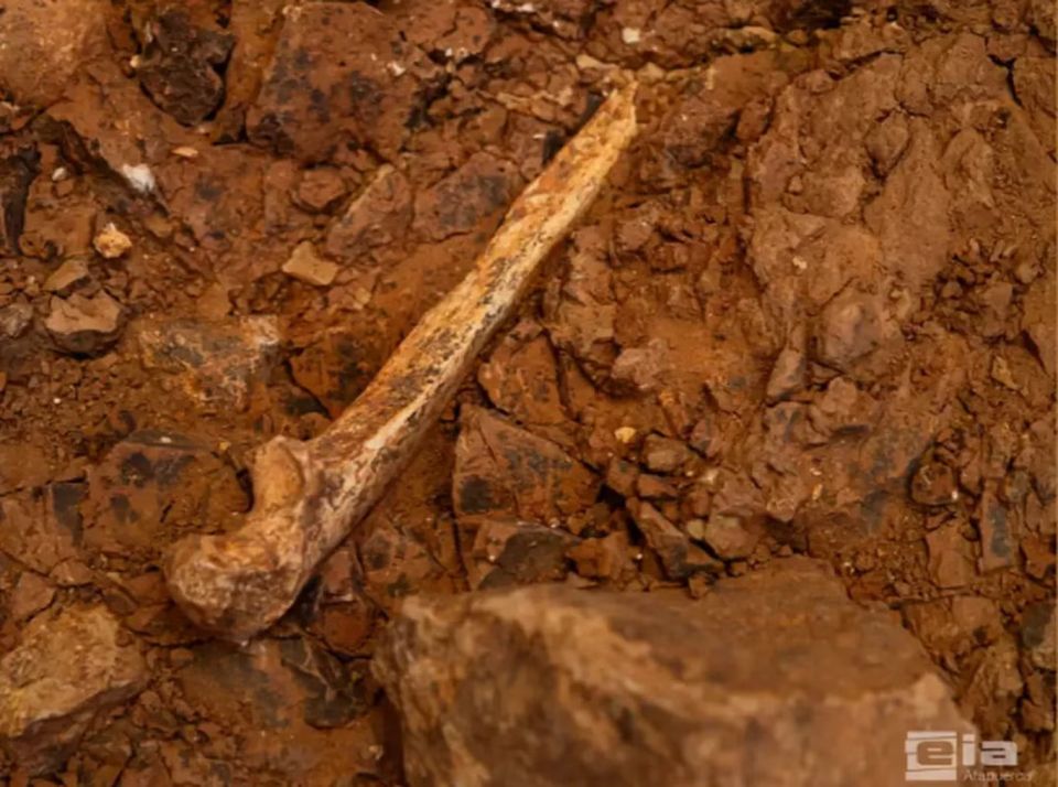 new-fossil-reveals-a-much-more-complete-homo-antecessor-population-and-confirms-that-cannibalism-als.jpg