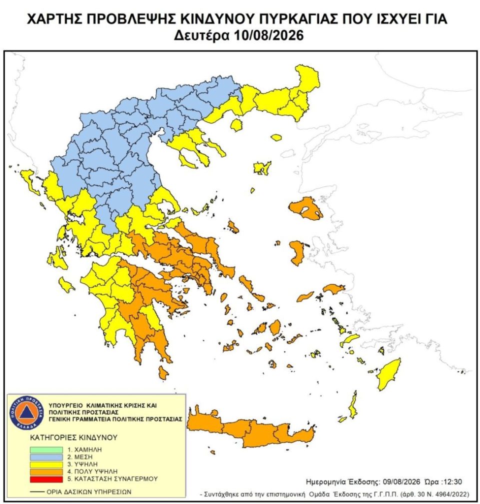 xartis-pirkagias.jpg