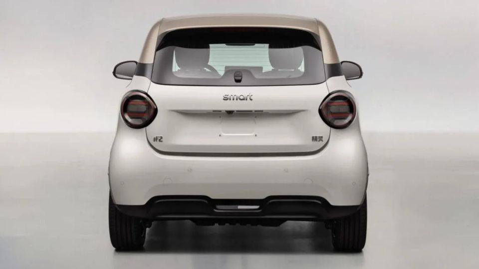 smart-2-leak-2.jpg