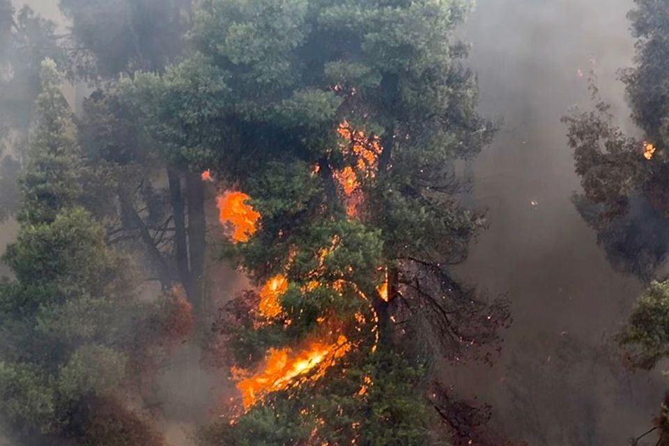 ΠΥΡΟΣΒΕΣΤΙΚΗ ΠΥΡΚΑΓΙΑ ΣΙΒΗΡΗ ΦΟΥΡΚΑ ΧΑΛΚΙΔΙΚΗ ΦΩΤΙΑ ΦΩΤΙΕΣ ΠΥΡΚΑΓΙΕΣ ΣΠΙΤΙ ΣΠΙΤΙΑ