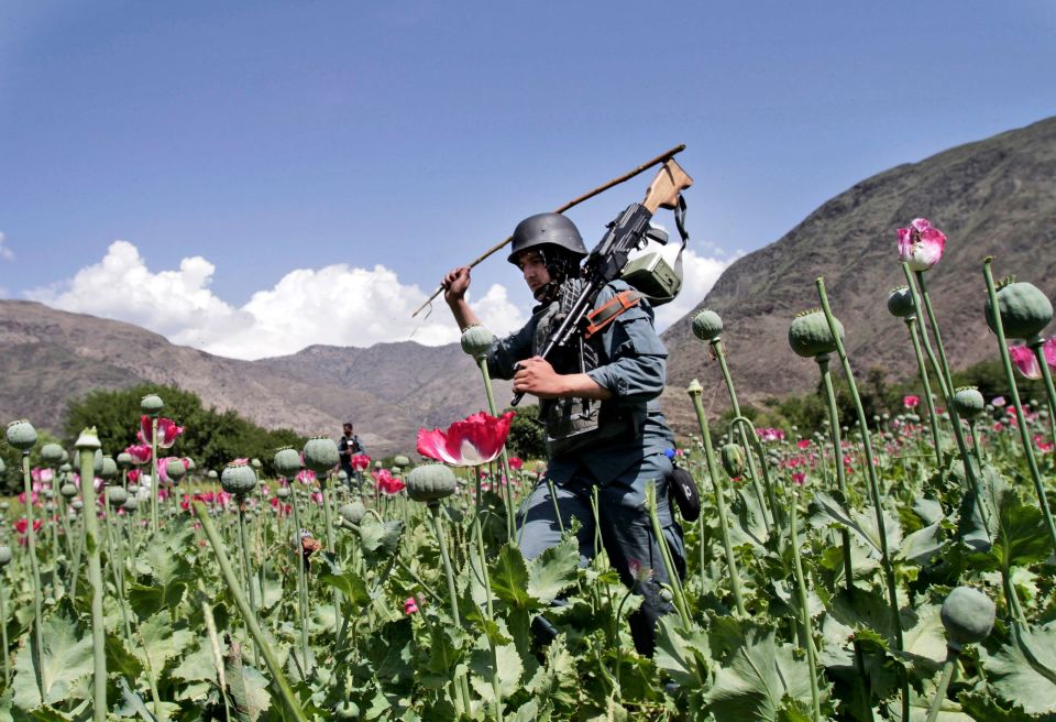 Afghanistan Drugs