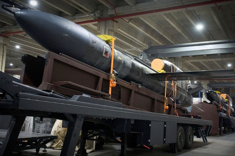 Ukraine Flamingo missile