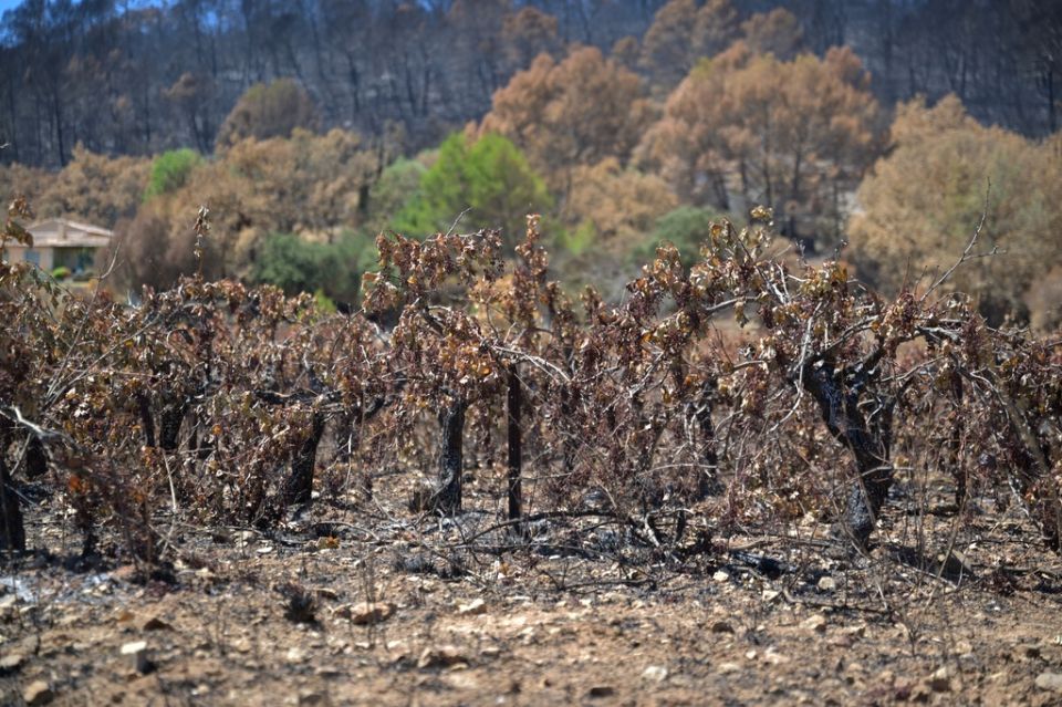 France Wildfires