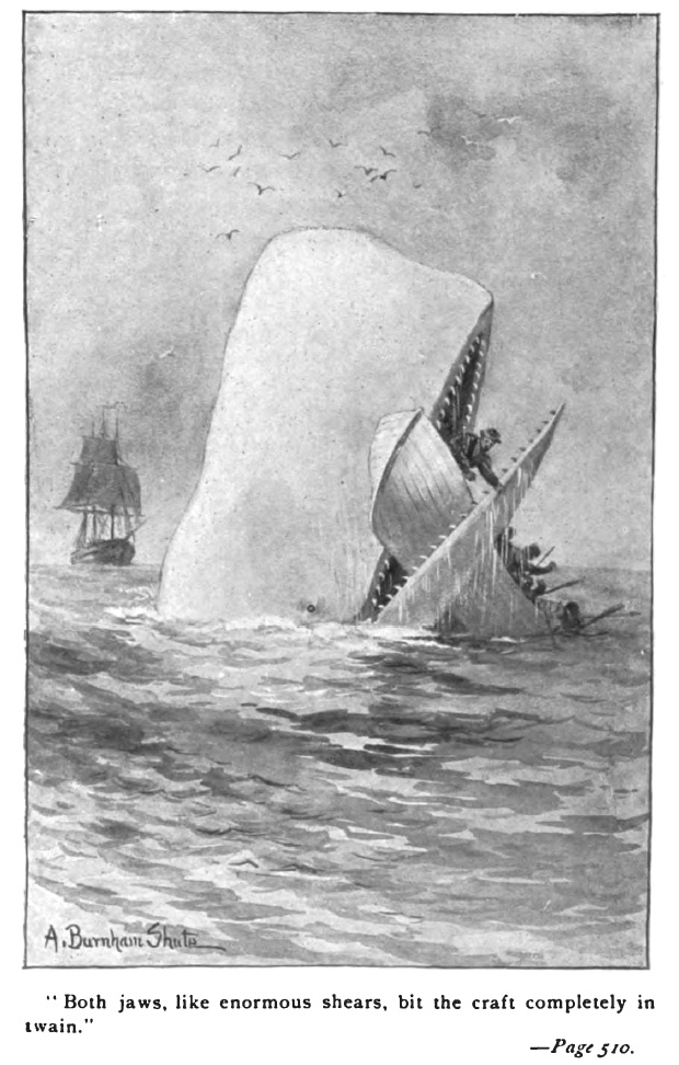 mobydickp510illustration.jpg