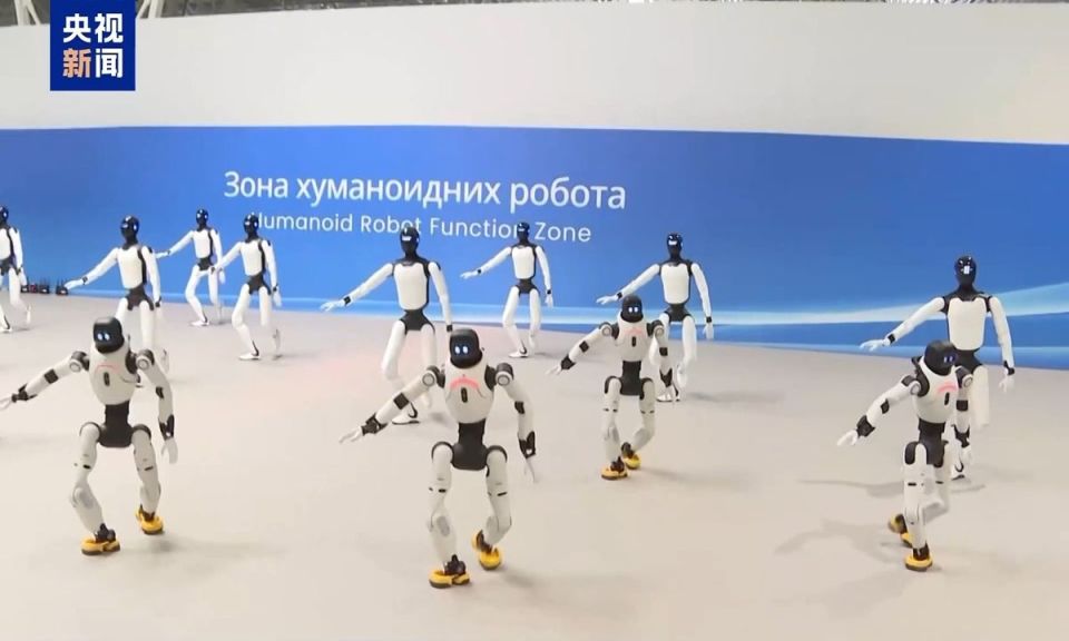 serbia-robot-factory2.jpg
