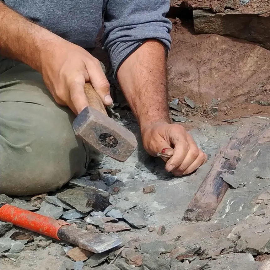11b-removing-bones-of-the-large-meat-eating-dinosaur-maip-macrothorax-photo-by-fernando-novas.jpg