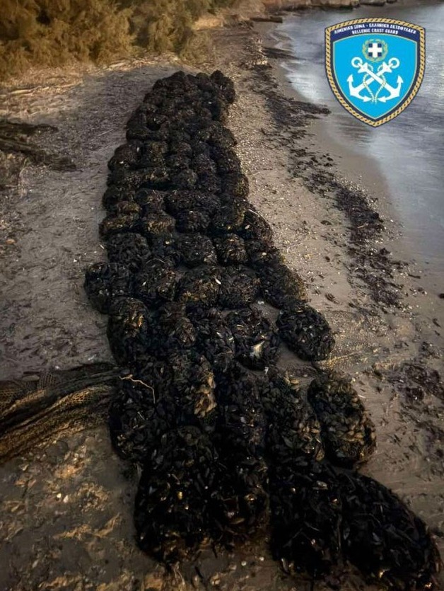 limeniko.jpg