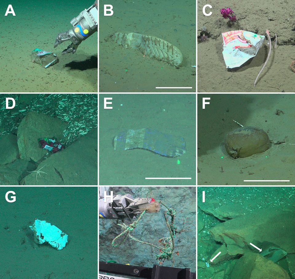 deep-sea-plastic-1.jpg