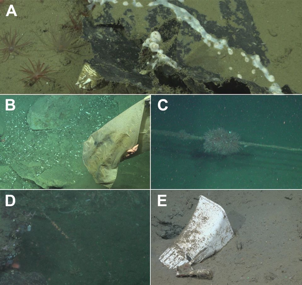 deep-sea-plastic-2.jpg