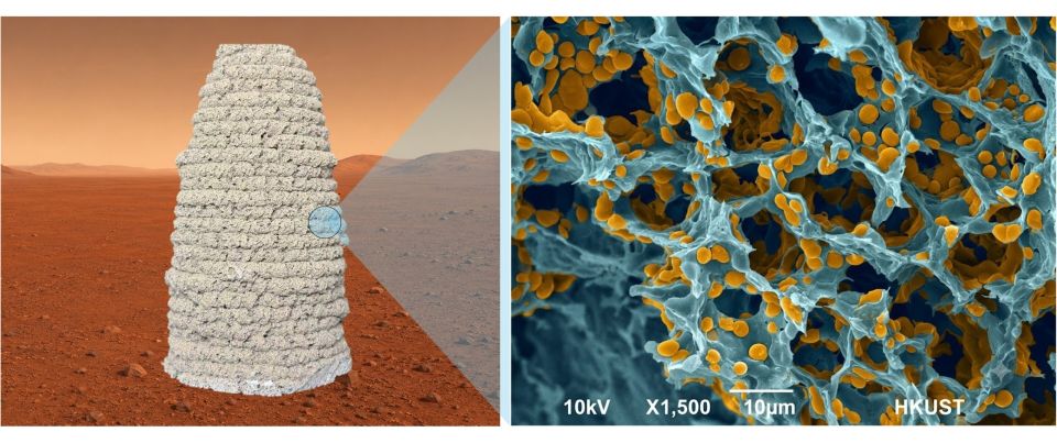 scientists-want-to-3d.jpg