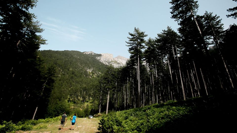 OLYMPOS, OLIMPOS