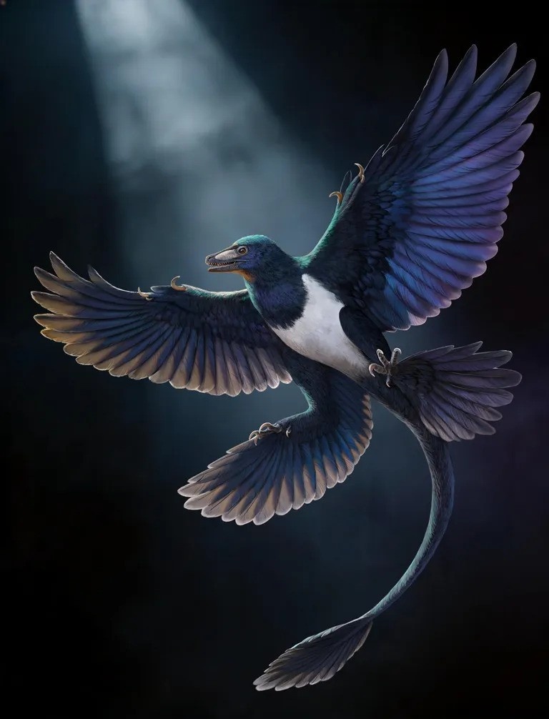 bird-dinosaur.jpg