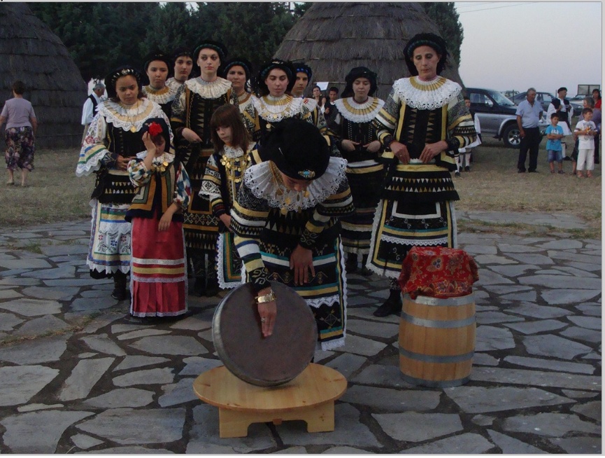 kalo.jpg