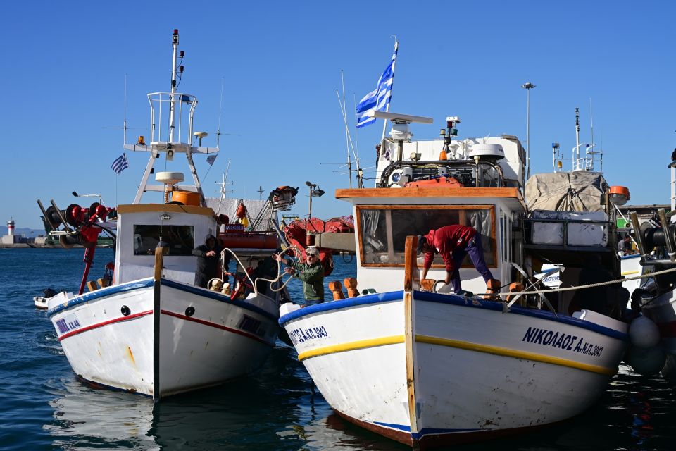 alieis kinitopoiiseis thessaloniki nea michaniona