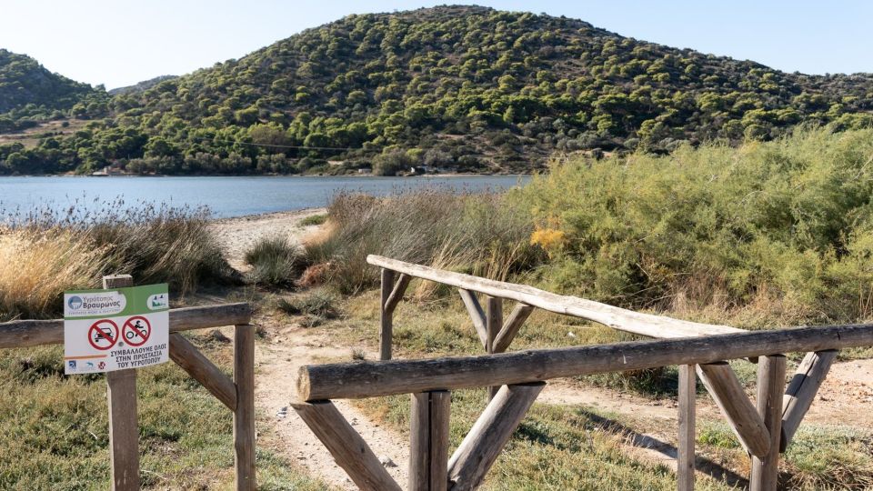 ygrotopos, ydrobiotopos, vraurona, braurona
