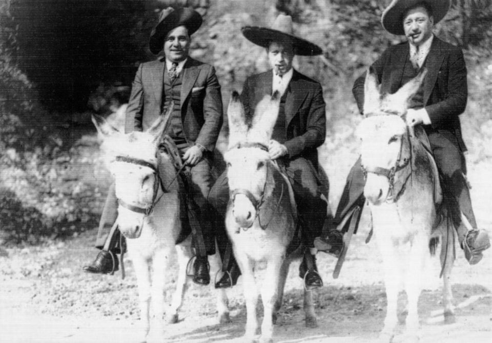 al-capone-happy-hollow-donkeys-gchs-4132.jpg