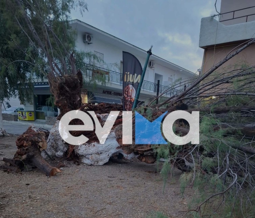 evia2.jpg