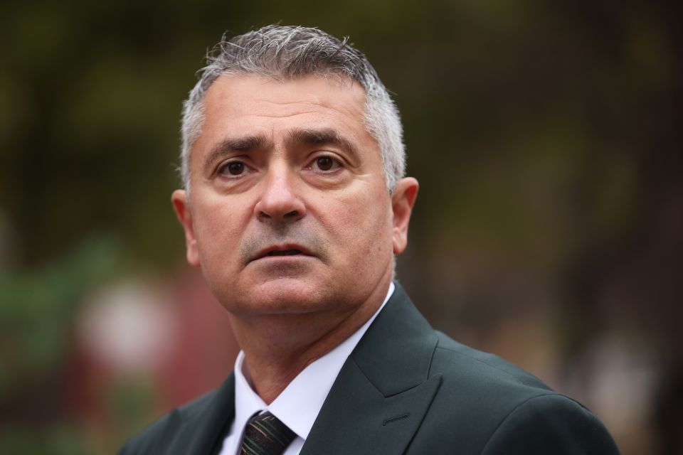 Ilija Srdanovic